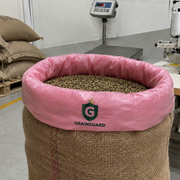 Kaffebönförpackning Jute Hermetic Liner